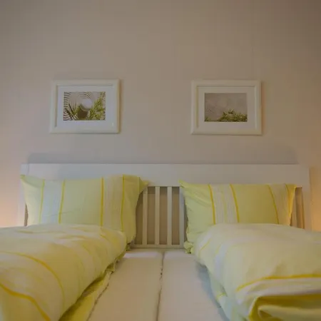 Inselblume 05 - Grosse In Mit Hund * Landkirchen