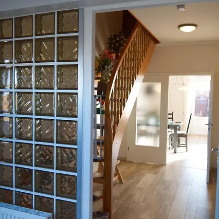 Inselblume 05 - Grosse In Mit Hund