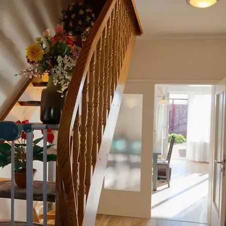 Inselblume 05 - Grosse In Mit Hund * Landkirchen