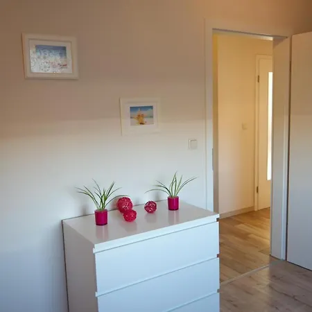 Dom wakacyjny Inselblume 05 - Grosse In Mit Hund