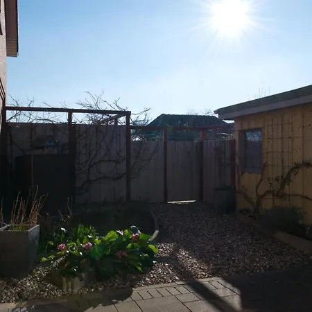 Inselblume 05 - Grosse In Mit Hund Vakantiehuis *